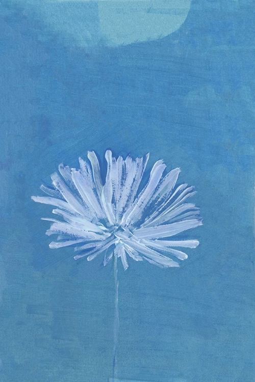 Picture of WHITE FLOWER ON BLUE BACKGROUND