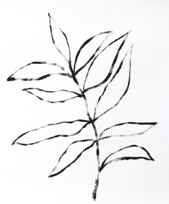 Picture of LINES OF PLANTS 14