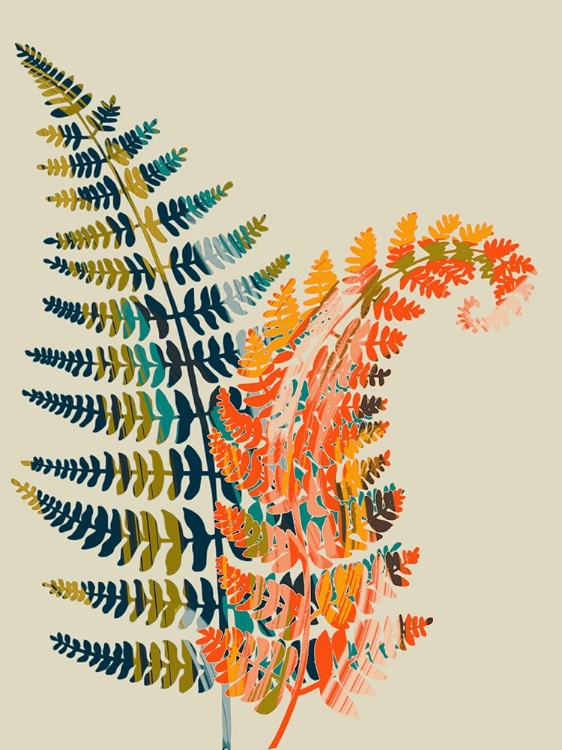 Picture of COLORFUL FERN LEAVES