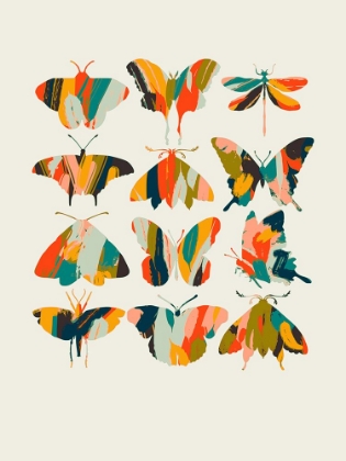 Picture of COLORFUL BUTTERFLIES