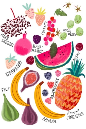 Picture of FRUITS CHART