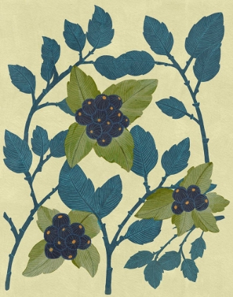 Picture of HUCKLEBERRIES