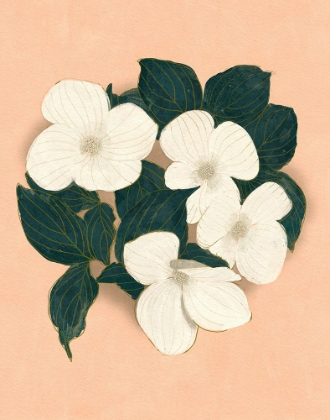 Picture of DOGWOODS