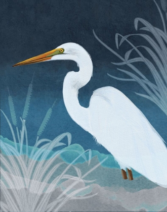 Picture of EGRET COPY