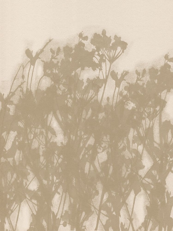 Picture of WILD FLOWERS IN OCHRE AND WHITE