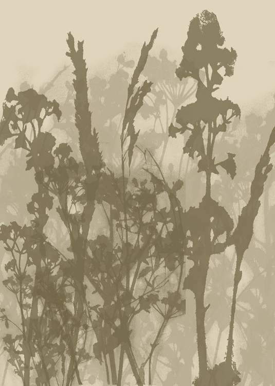 Picture of MISTY MEADOW. ABSTRACT BOTANICAL ART NO.10