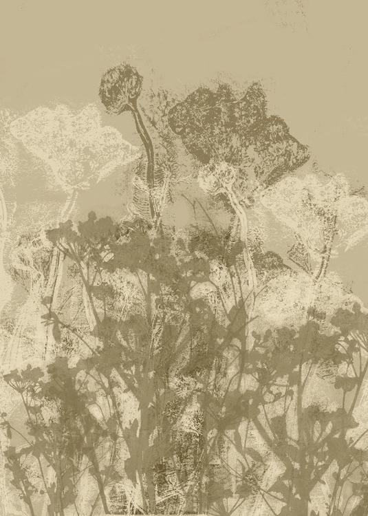 Picture of MISTY MEADOW. ABSTRACT BOTANICAL ART NO.5