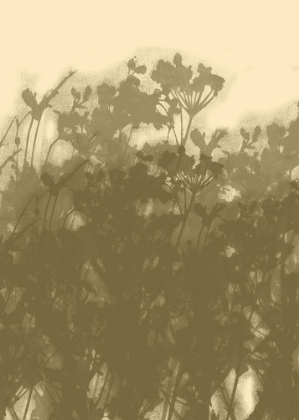 Picture of MISTY MEADOW. ABSTRACT BOTANICAL ART NO.2