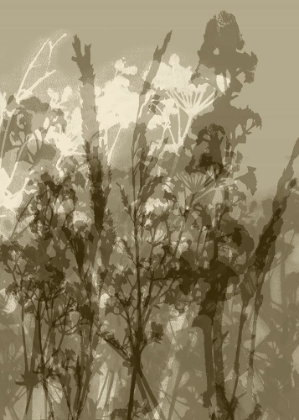 Picture of MISTY MEADOW. ABSTRACT BOTANICAL ART NO.1