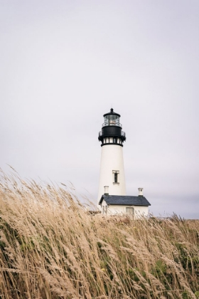 Picture of LIGHTHOUSE