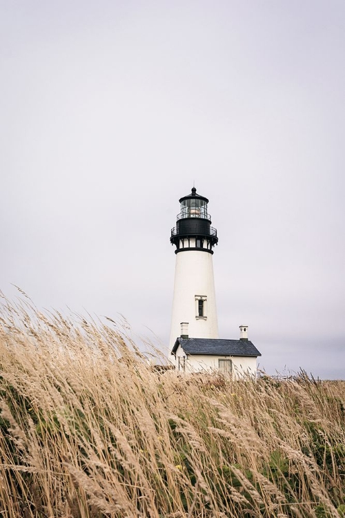 Picture of LIGHTHOUSE