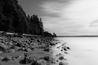 Picture of BEACH SHORELINE