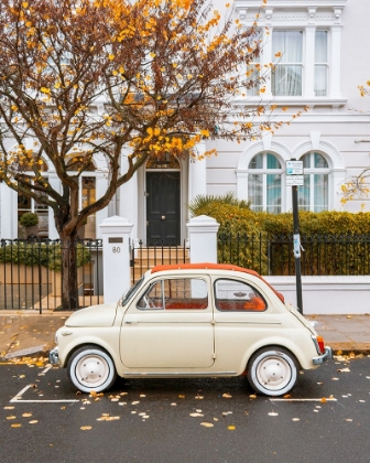 Picture of AUTUMN IN LONDON