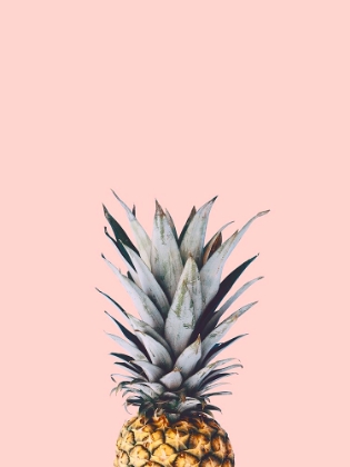 Picture of PINEAPPLE 2