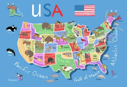 Picture of ILLUSTRATED MAP OF UNITED STATES OF AMERICA BY CARLA DALY