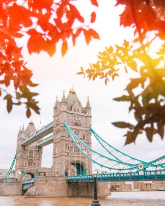 Picture of TOWER BRIDGE VIEW