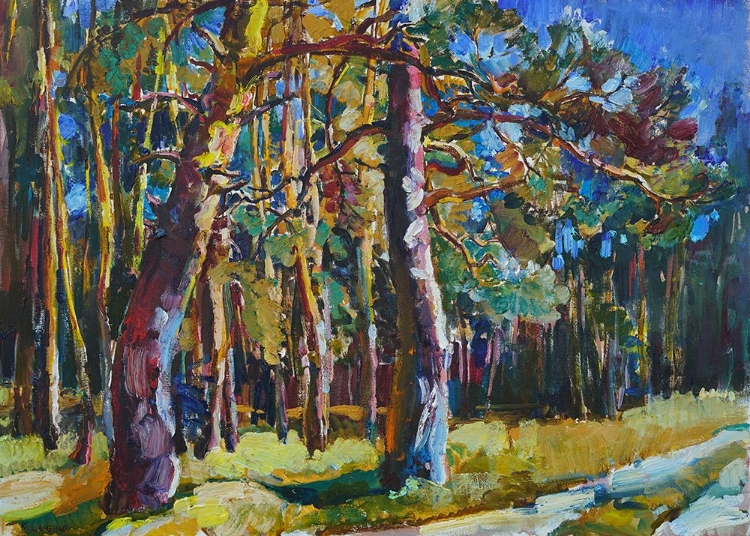 Picture of PINE FOREST