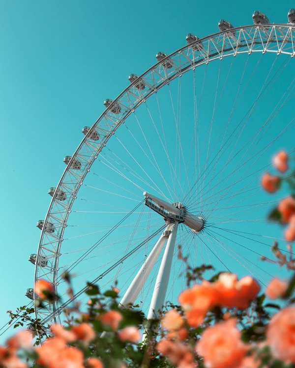 Picture of MAGICAL LONDON EYE