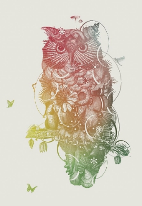 Picture of OWL