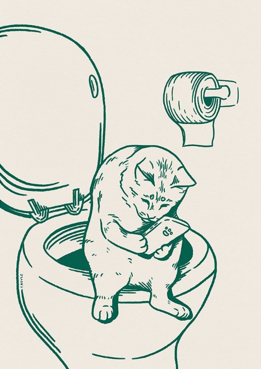 Picture of CAT ON TOILET IN GREEN