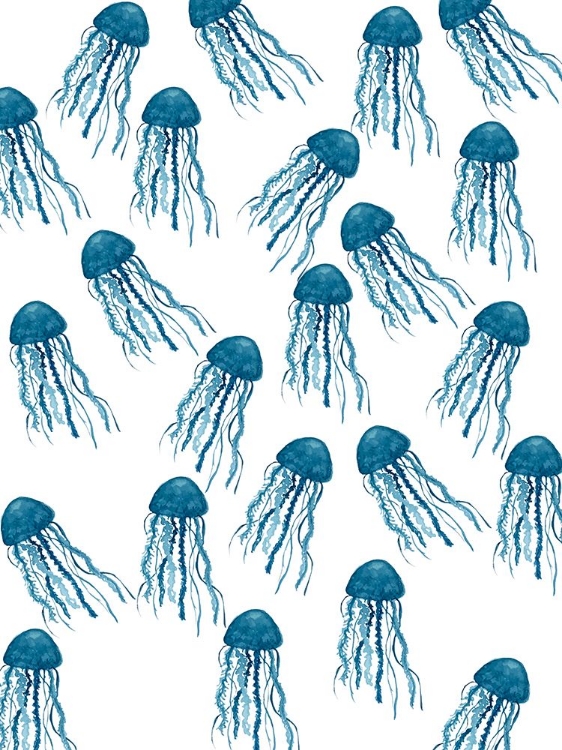 Picture of JELLYFISH