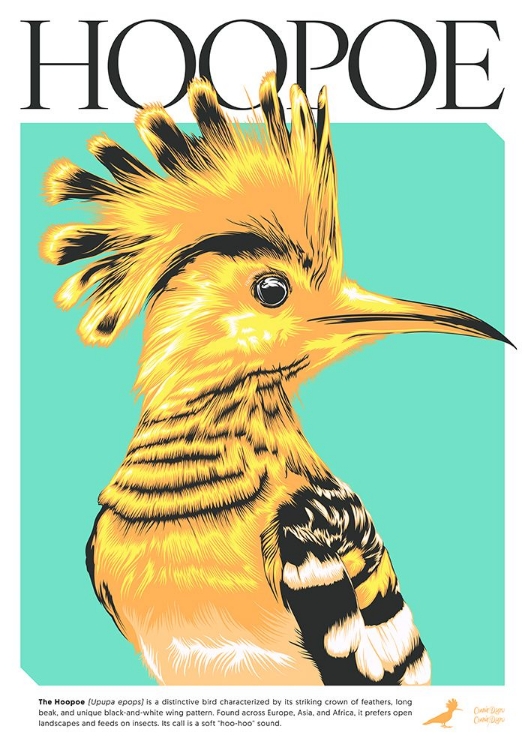 Picture of HOOPOE