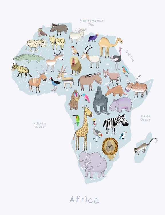 Picture of AFRICA