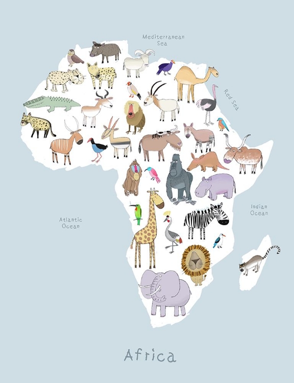 Picture of AFRICA