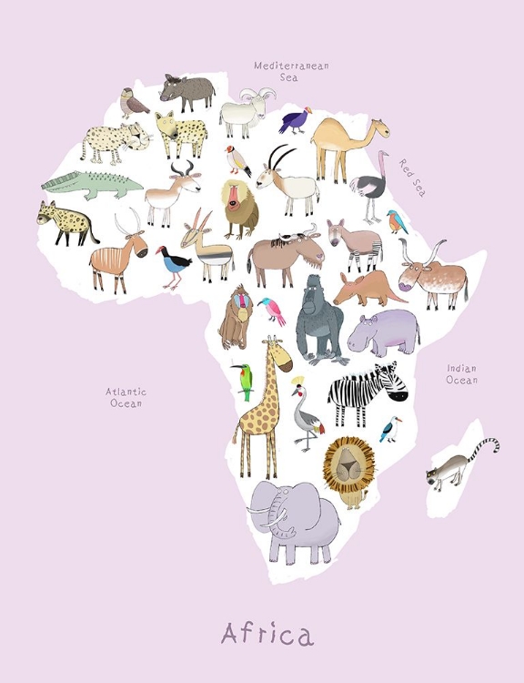 Picture of AFRICA