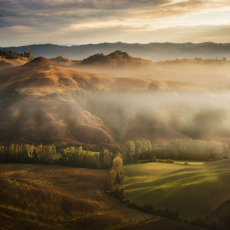 Picture of MYSTICAL WAVING FIELDS TUSCANY