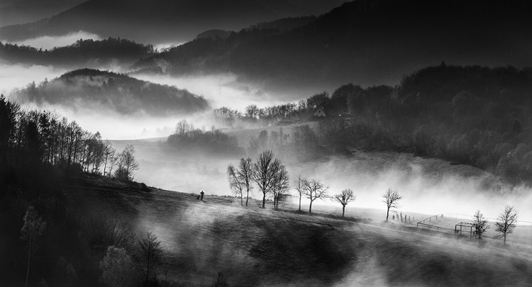 Picture of SLOVAK AUTUMN