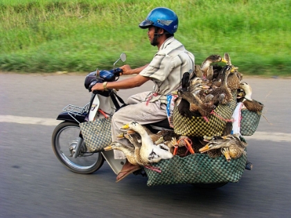 Picture of 25 ON A MOTORBIKE