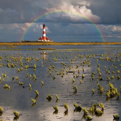 Picture of LIGHTHOUSE MEETS RAINBOW