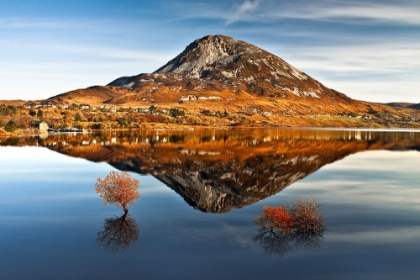 Picture of TRANQUIL ERRIGAL