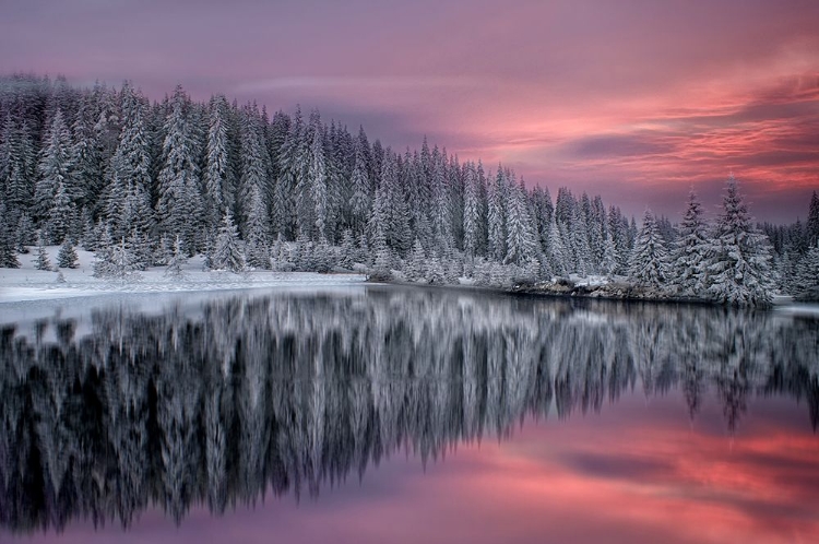 Picture of WINTER FAIRYTALE