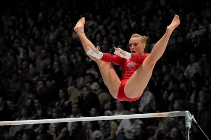 Picture of THE GYMNAST