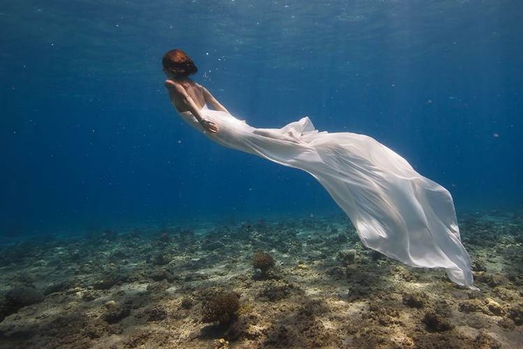 Picture of WHITE DRESS