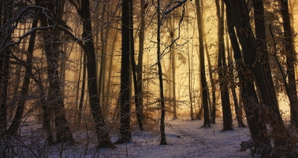 Picture of FIRST SNOW