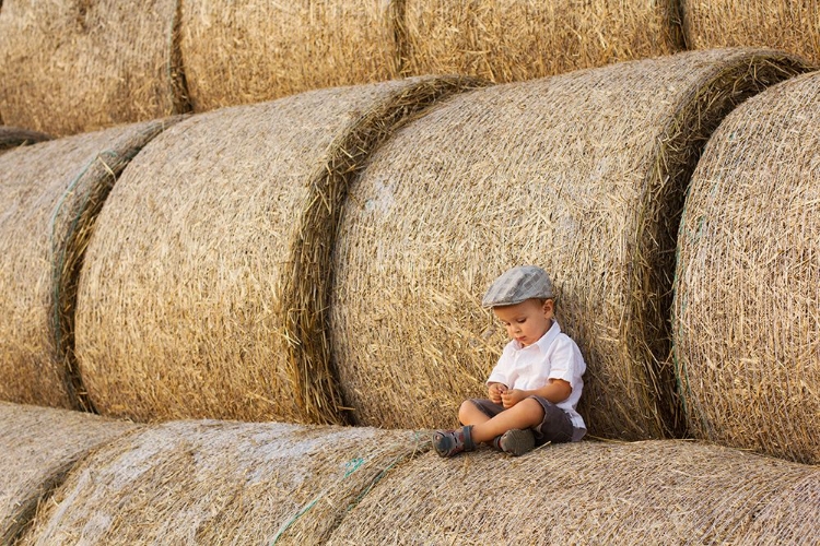 Picture of HAYSTACKS