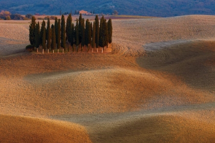 Picture of TOSCANA