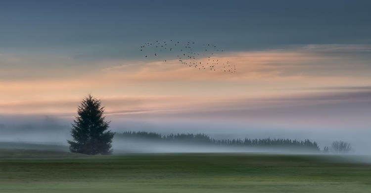 Picture of DANCE IN THE CLOUDS