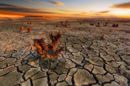 Picture of DRY LAKE