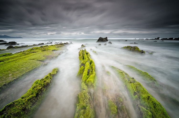 Picture of BARRIKA