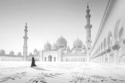 Picture of SHEIKH ZAYED MOSQUE