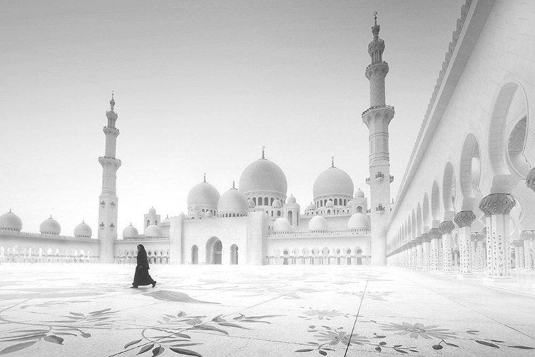 Picture of SHEIKH ZAYED MOSQUE