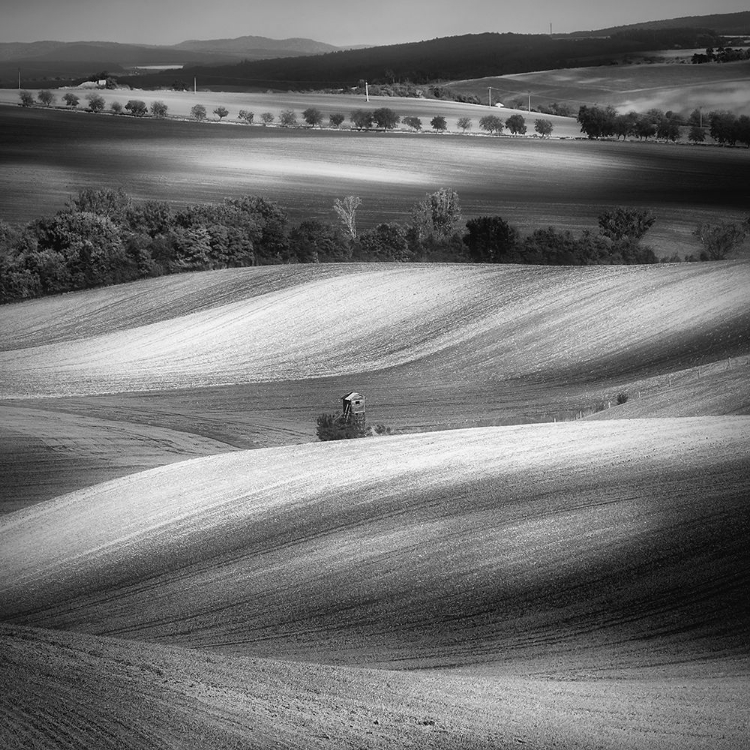 Picture of MORAVIAN FIELDS