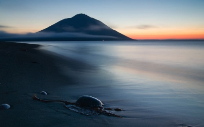 Picture of FUJI ETOROFU