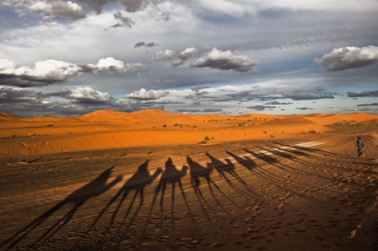 Picture of THROUGH THE DUNES OF MERZOUGA (MOROCCO).