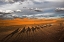 Picture of THROUGH THE DUNES OF MERZOUGA (MOROCCO).