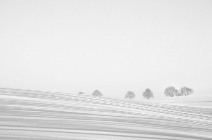 Picture of SNOWLINES